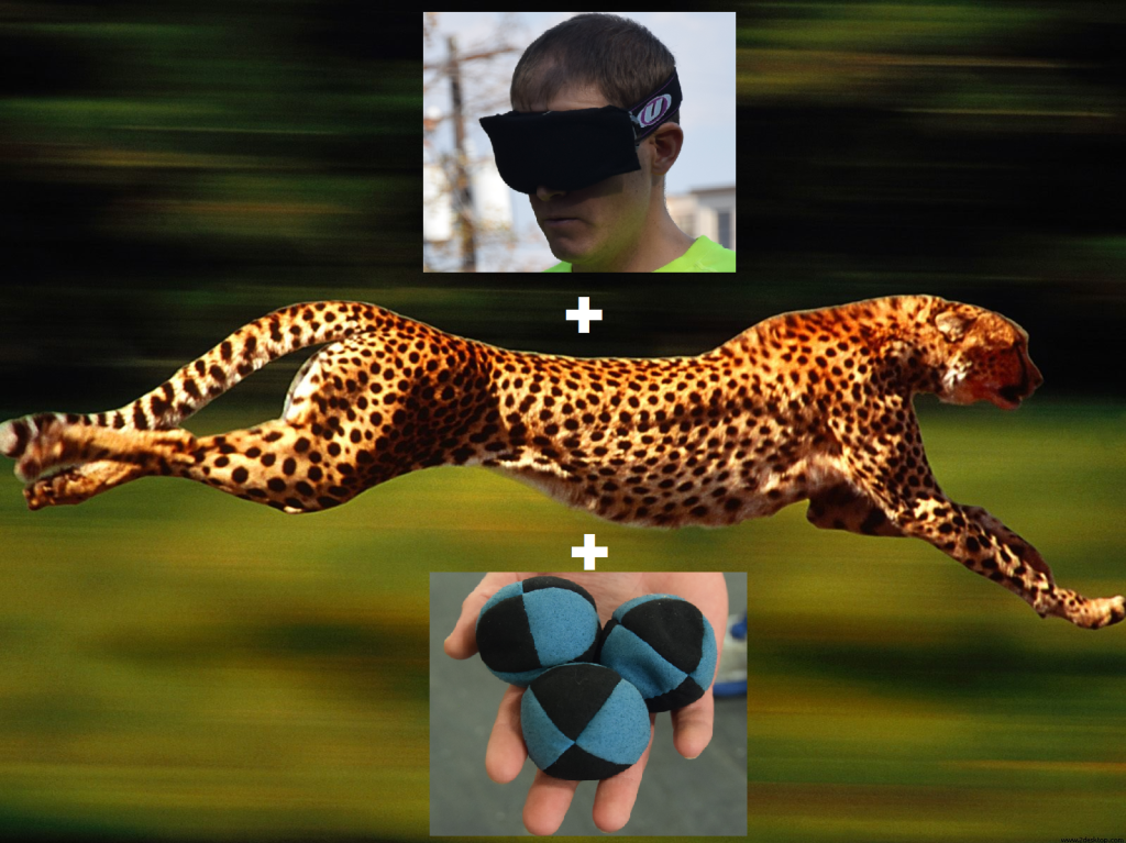Blindfold speed juggling cheeta